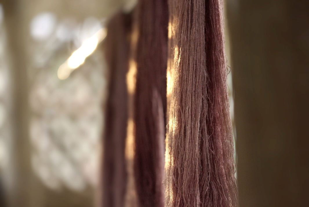 Dyed mauve Eri yarn skeins hanging in sunlight