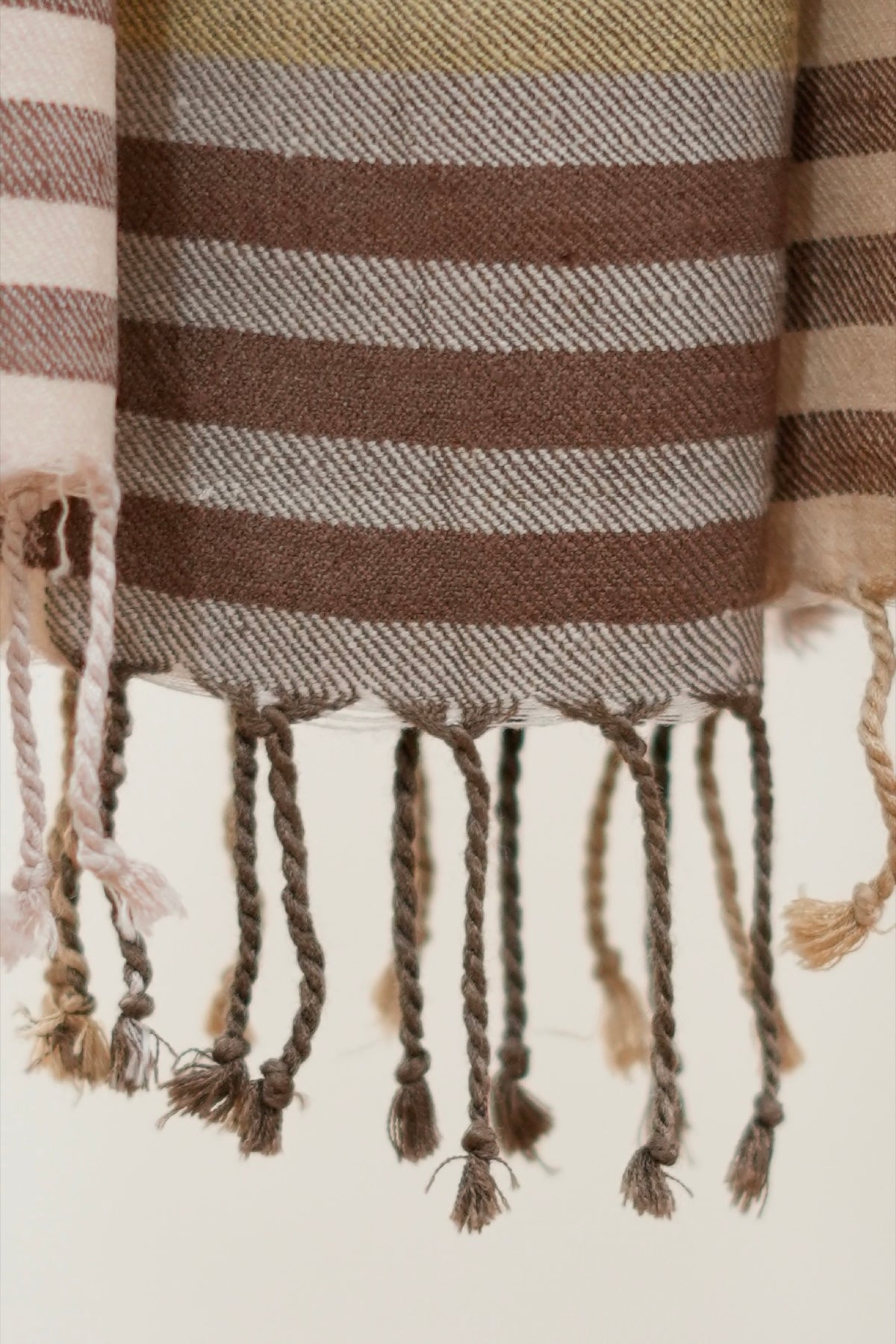 Natural Dye Fields | Cadence